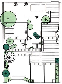plan pogldowy ogrodu